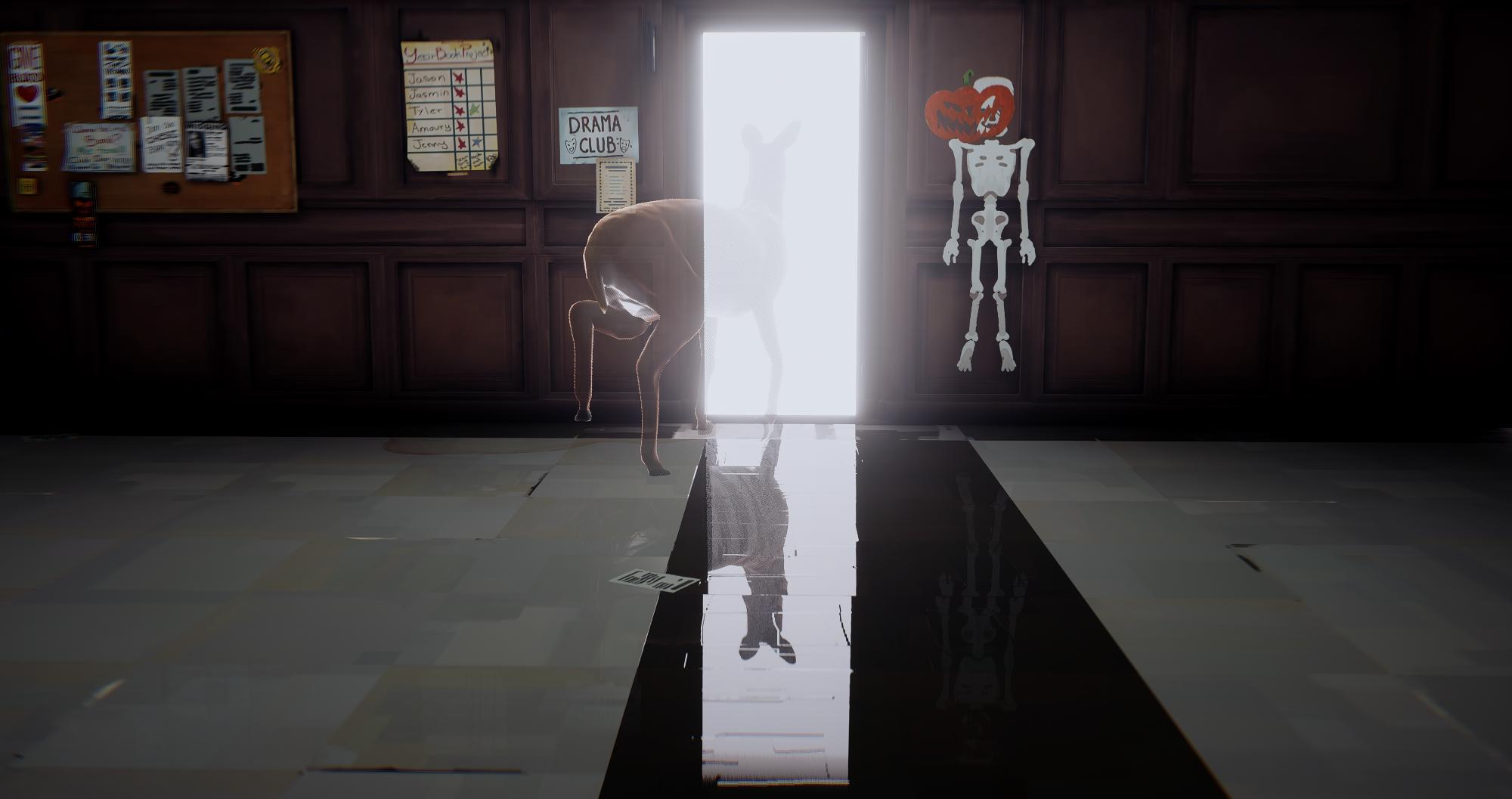 Image made by Rimaeternax