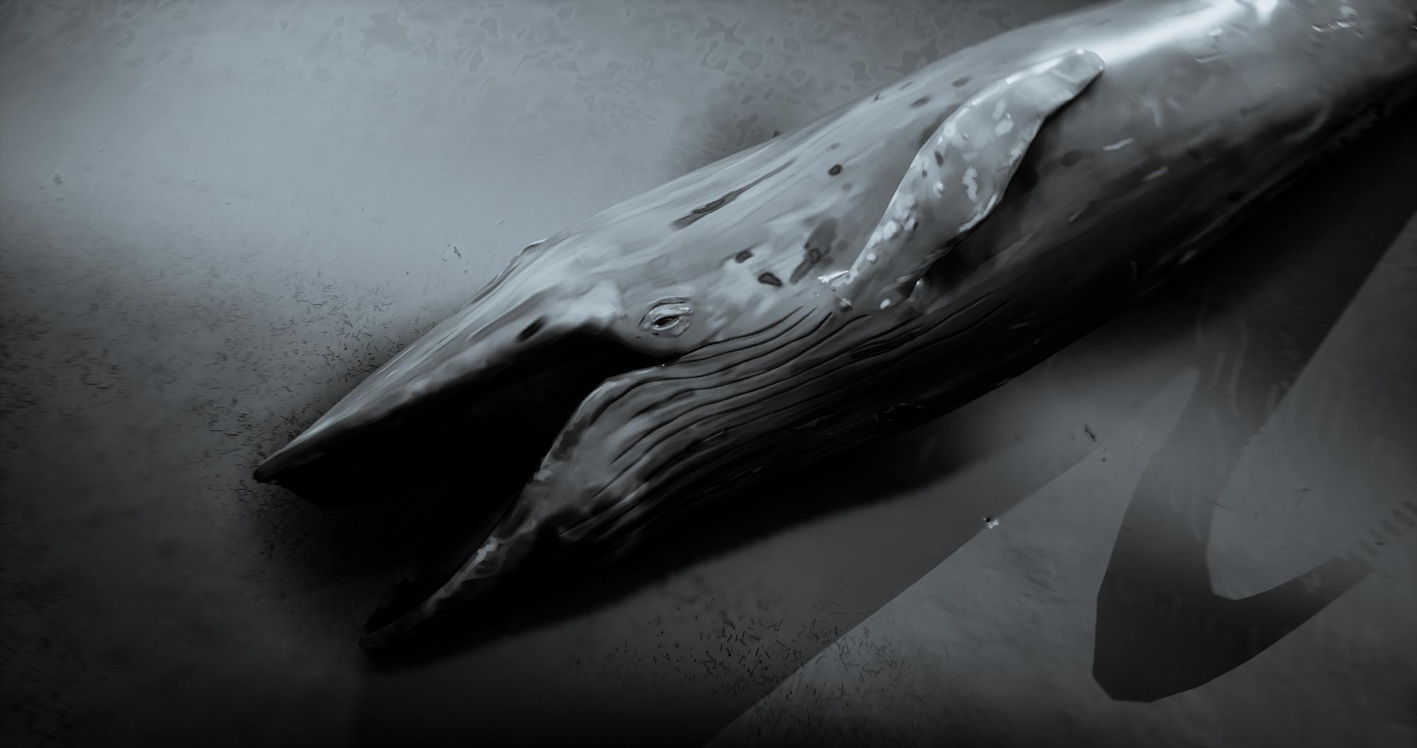 Image made by Rimaeternax