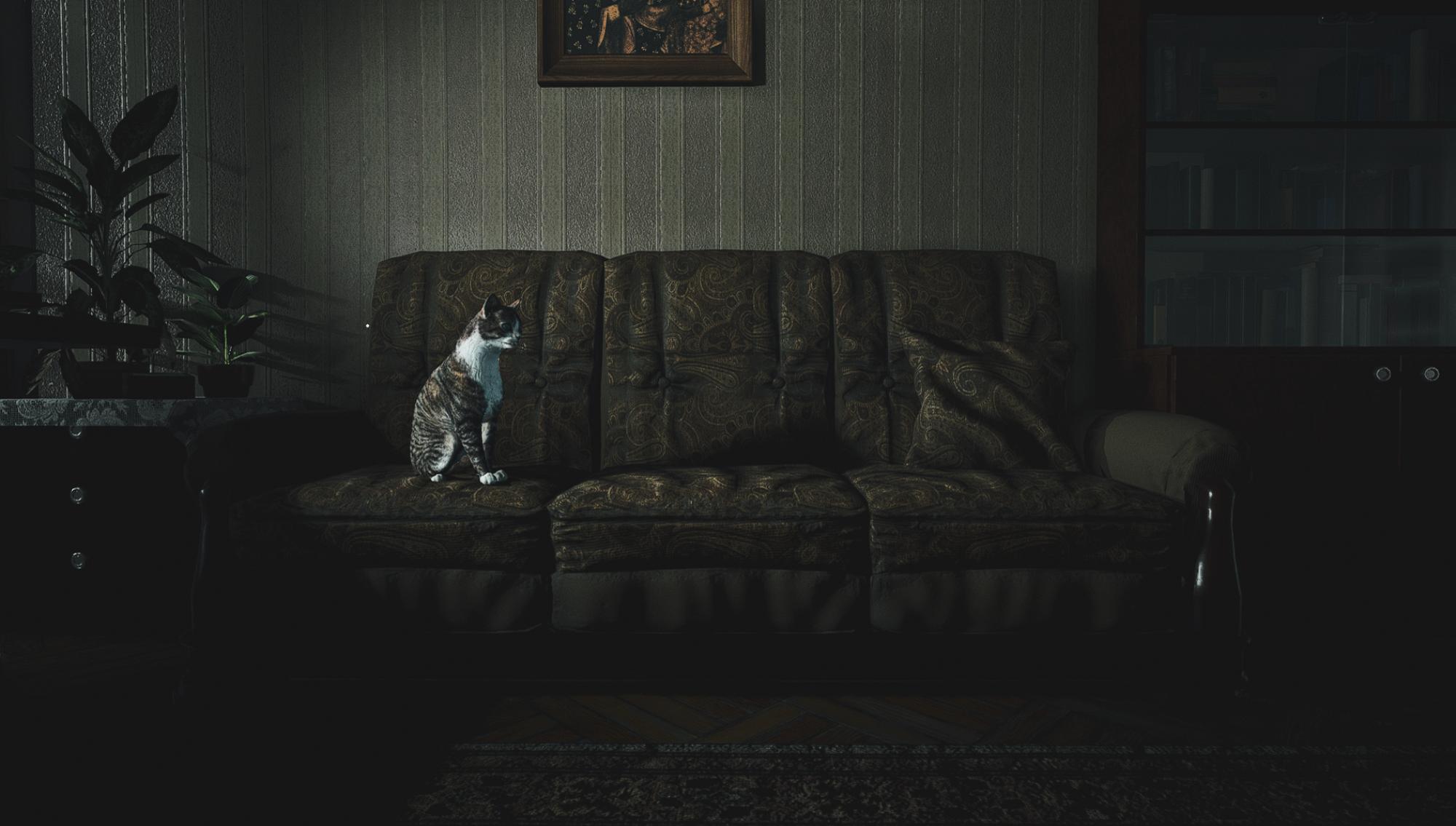 Image made by Rimaeternax