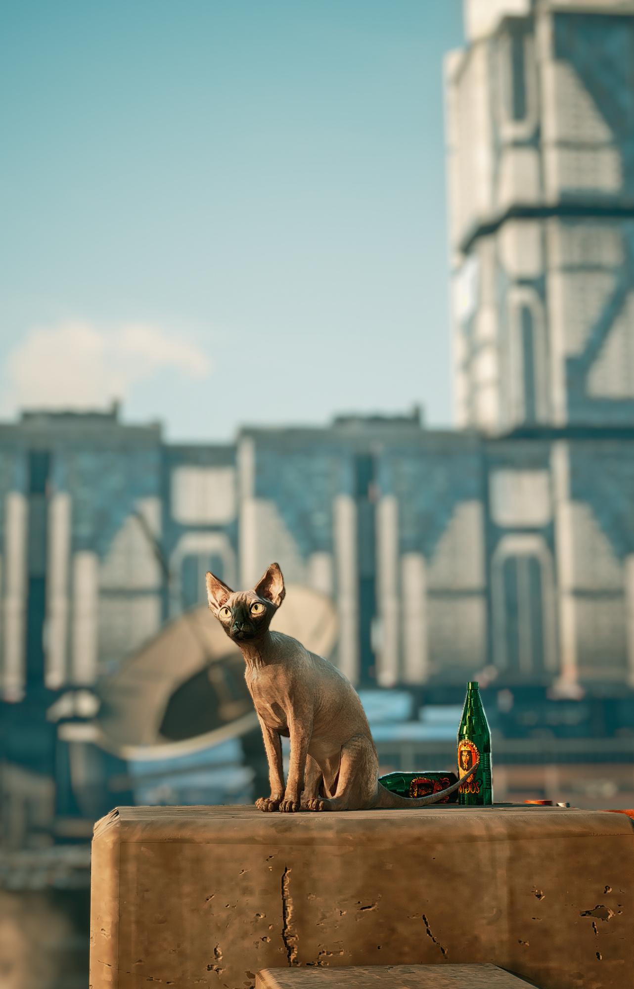 Image made by Rimaeternax