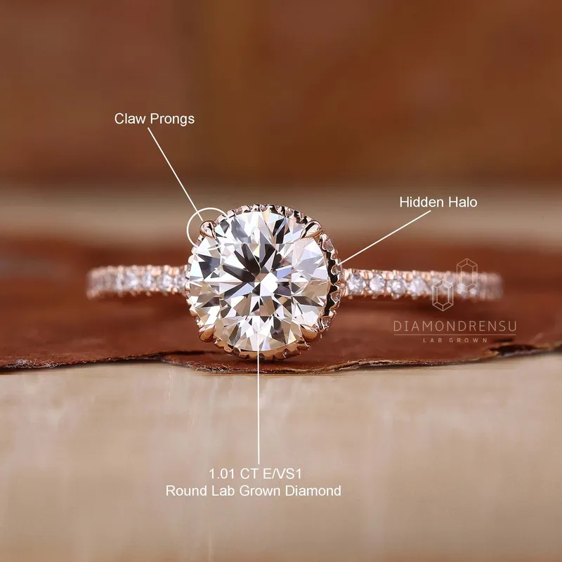 Hidden Halo Engagement Ring with Round Cut Diamond vy 4