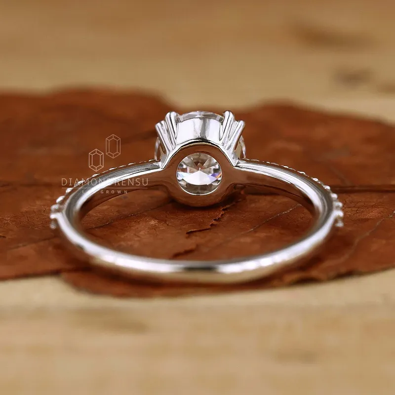 Round Cut Lab Grown Diamond Pave Engagement Ring view 4