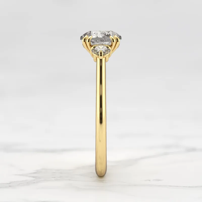 Round Salt & Pepper Diamond Ring With Accent Stones vy 11