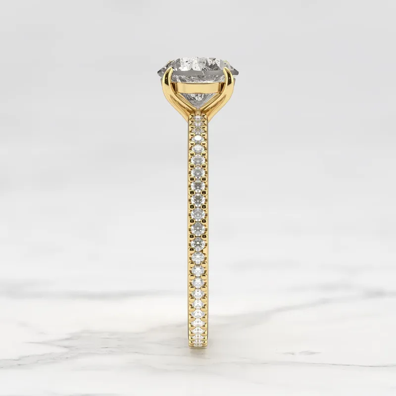 Round Full Pave Salt & Pepper Diamond Ring view 10