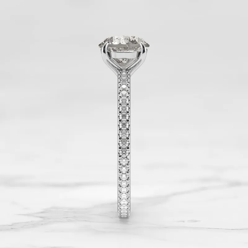 Round Full Pave Salt & Pepper Diamond Ring view 12