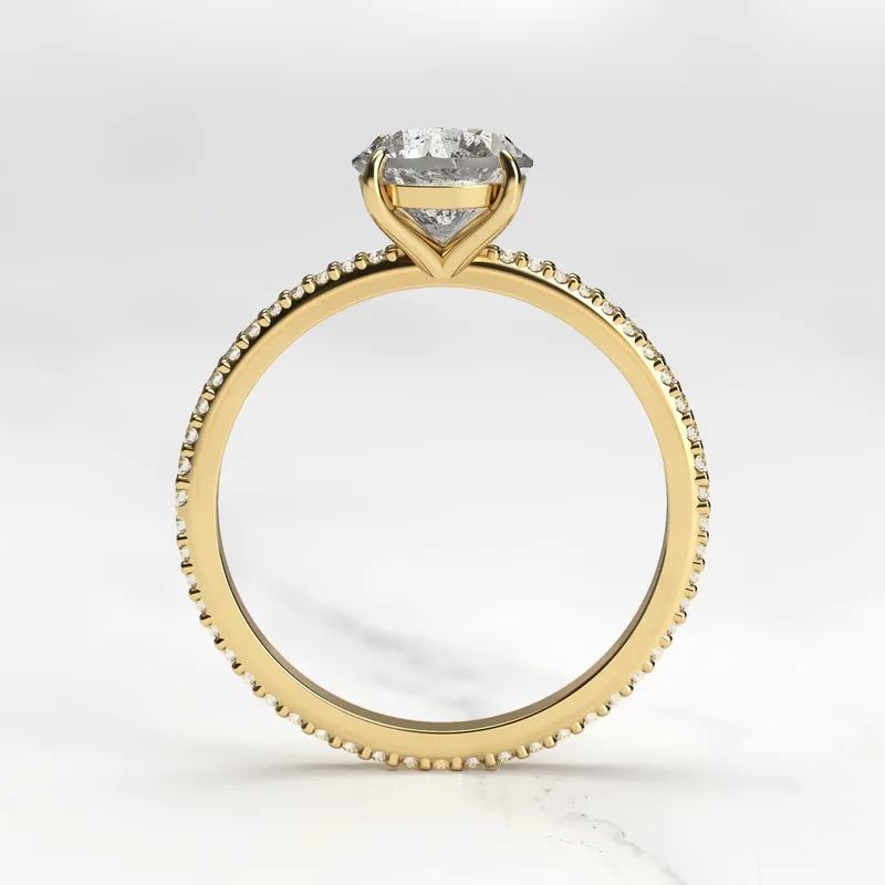 Round Full Pave Salt & Pepper Diamond Ring view 7