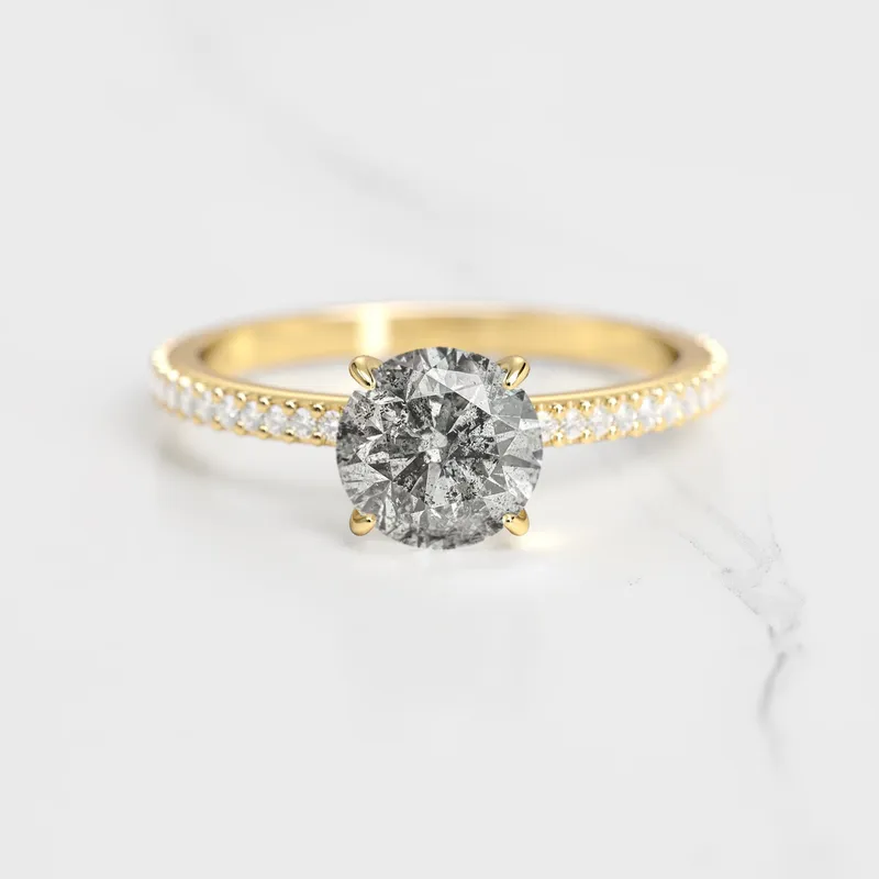 Round Full Pave Salt & Pepper Diamond Ring diamond round cut engagement ring