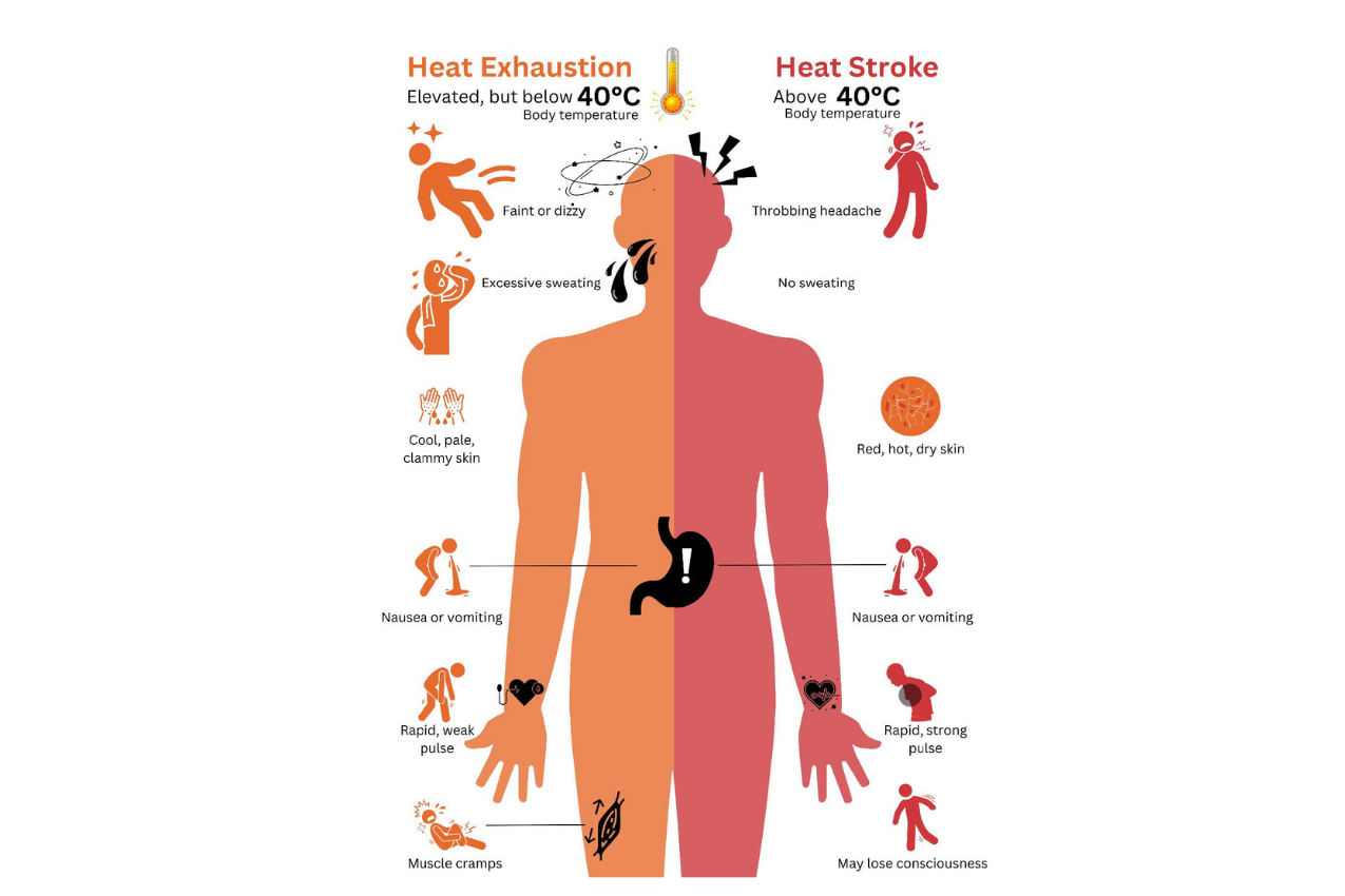 Advancing Heat Health Resilience: Scientific Insights from India's Frontlines