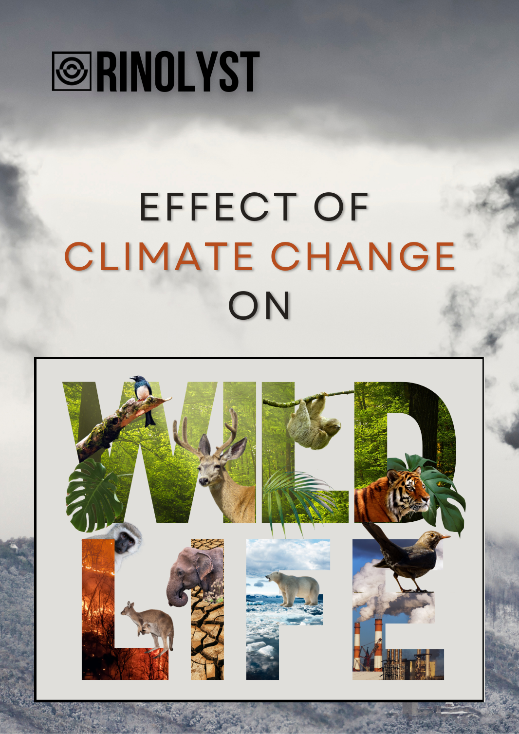 Effect of Climate Change on Wildlife