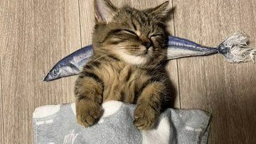 Today, i woke up for school