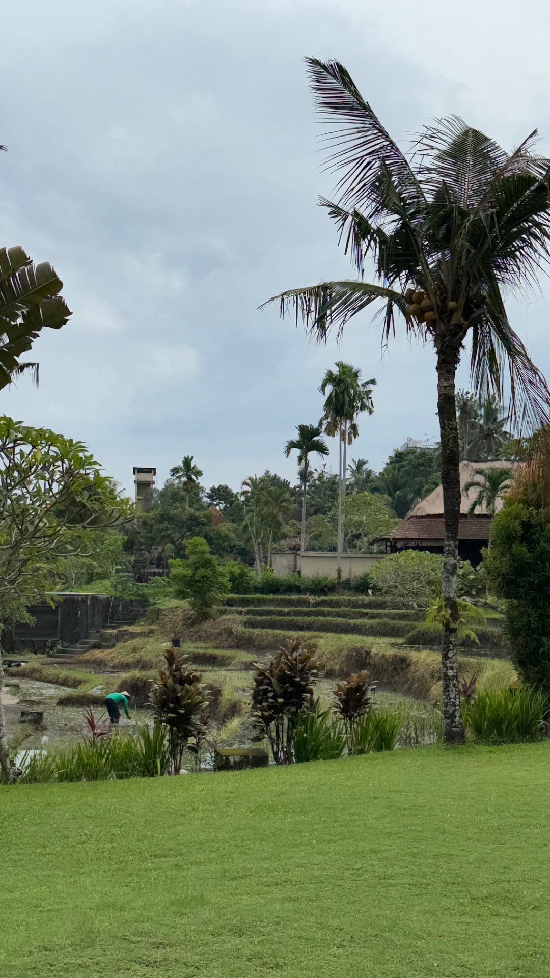 day 5 bali yipeee