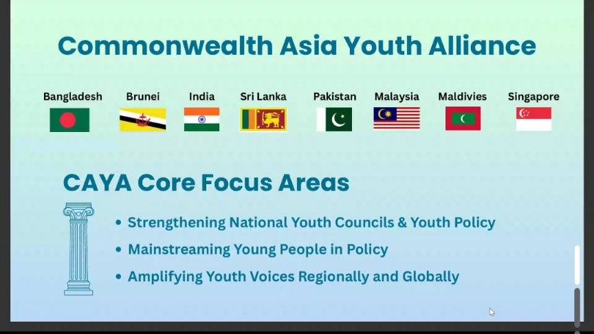 Caya Advocacy Fellowship - RVI Session