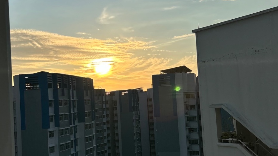 love for scenery