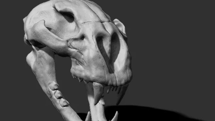 Use of ZBrush to create cool stuff.