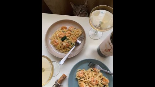my cooking experience