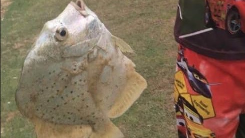 My experience in fishing.