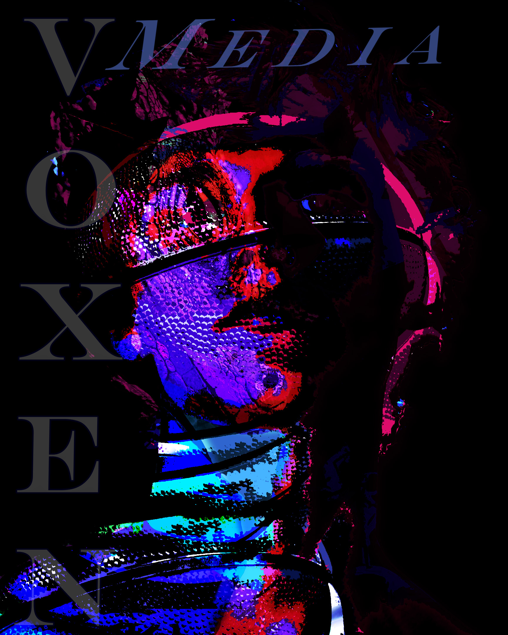 Poster/ banner art