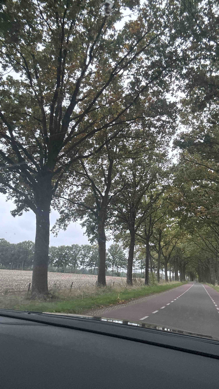 Gallerij afbeelding 8