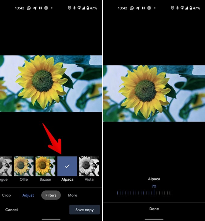 How to Get the Most Out of Google Photos in 5 Steps