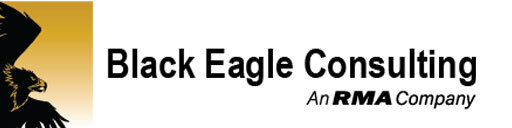 Black Eagle Consulting logo