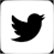 Twitter logo