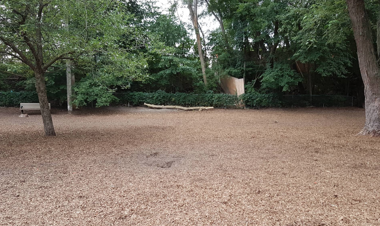Review Photo 1