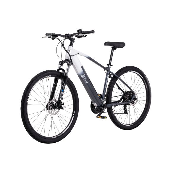 Bicicleta Elétrica