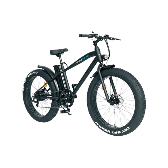 Bicicleta Elétrica E-Fat