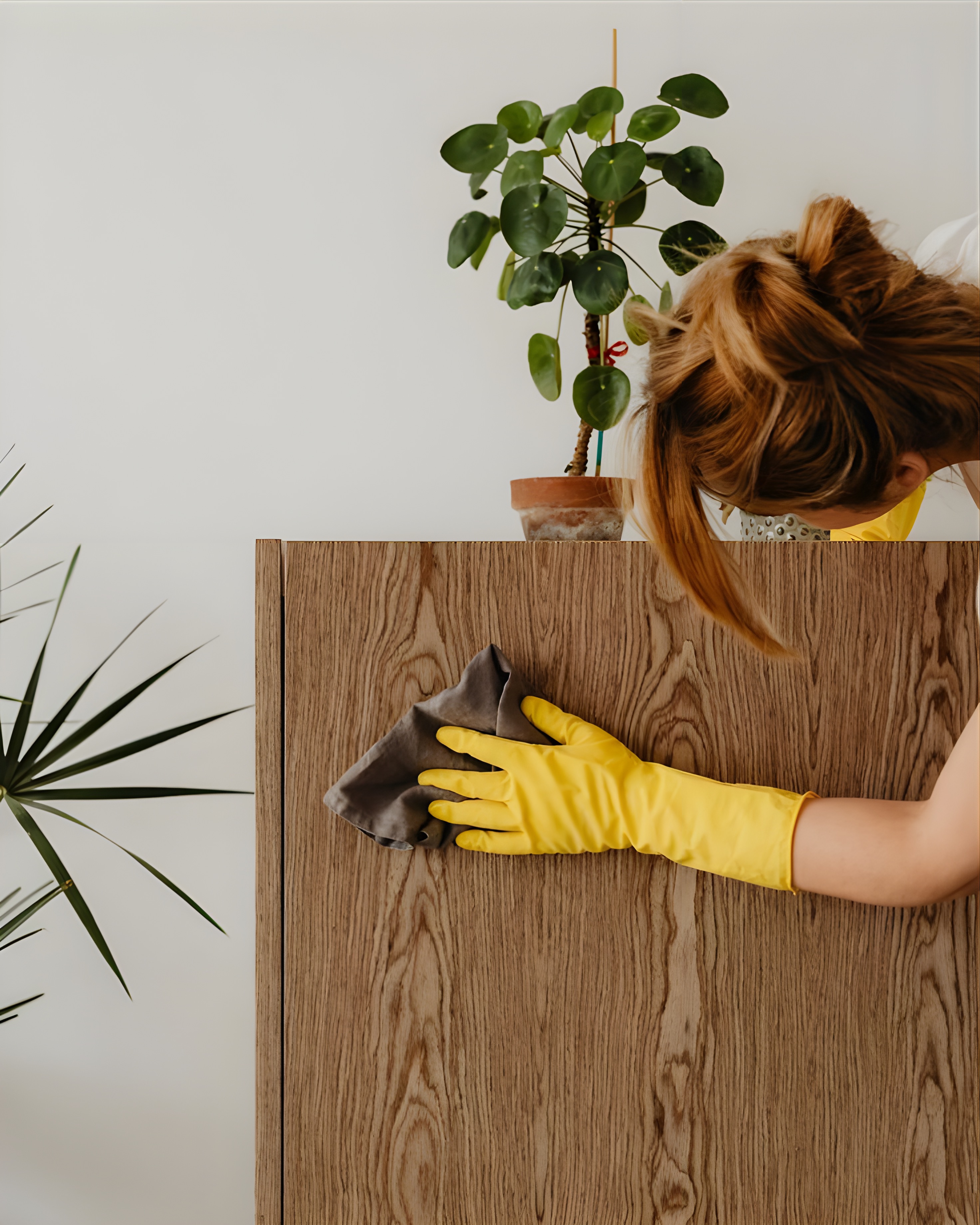 Kujdesi për Mobiljet prej Druri: Mbrojtje &  Ruajtje