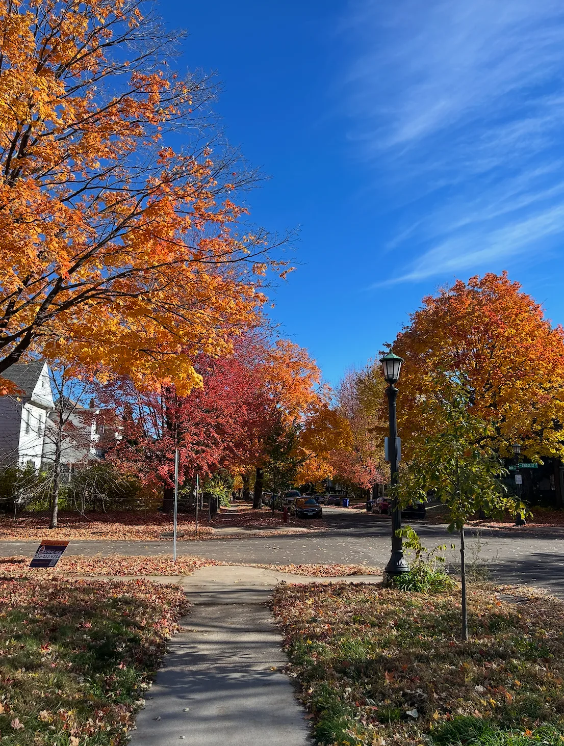 Fall in the Twin Cities: Where to See the Colors, Pick Apples, and Get Spooky 🍂