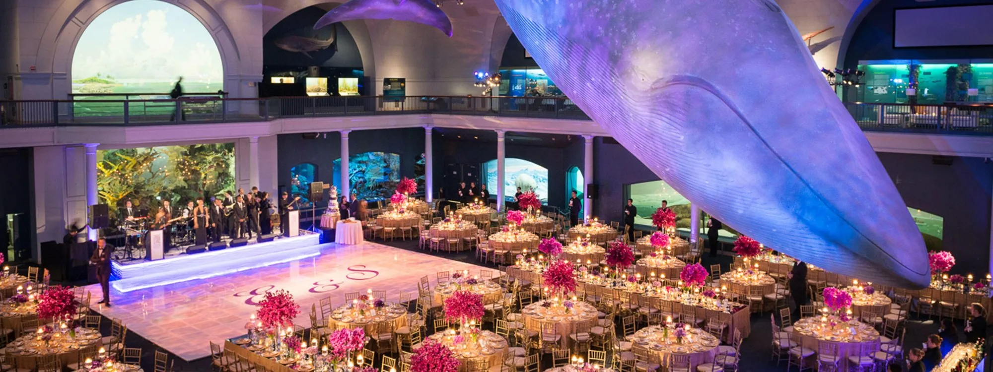 American Museum of Natural History Wedding Guide (2027): Cost, Capacity & Everything Else