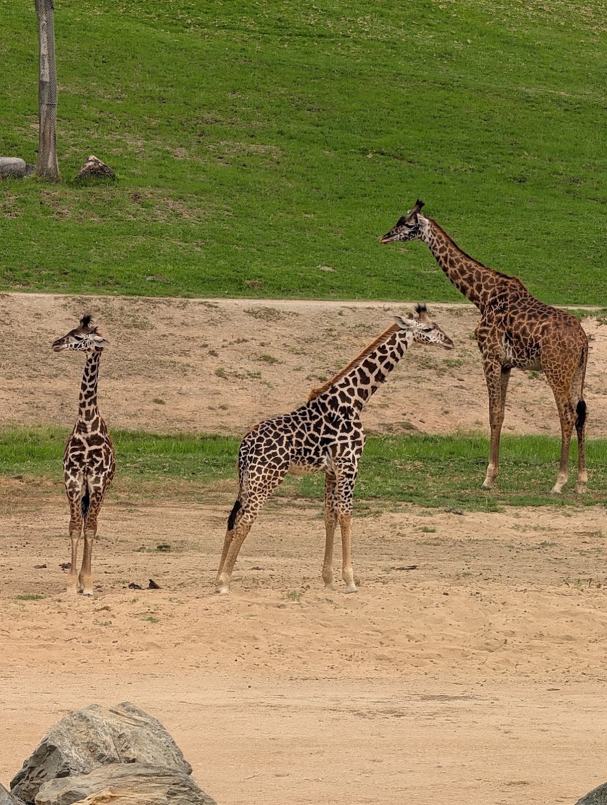 San Diego Zoo Safari Park