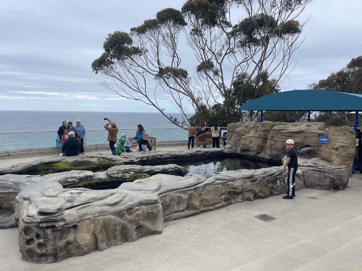 Birch Aquarium at Scripps