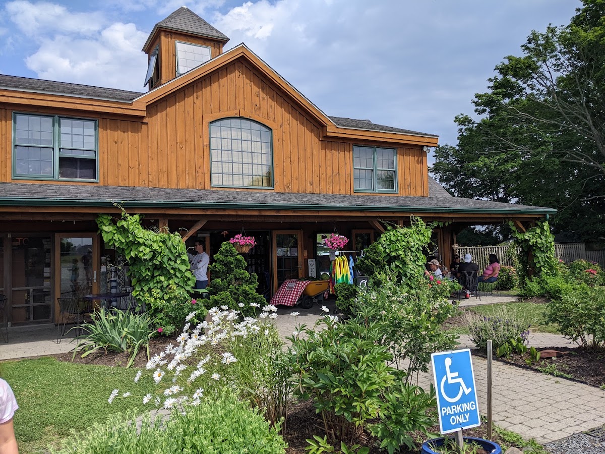 Sweet Berry Farm