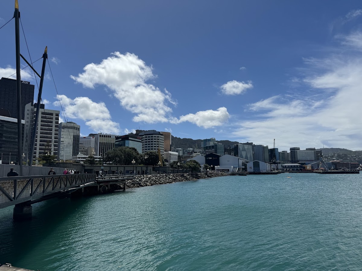 Winds of Wonder: My Short New Zealand Story 🍕❤