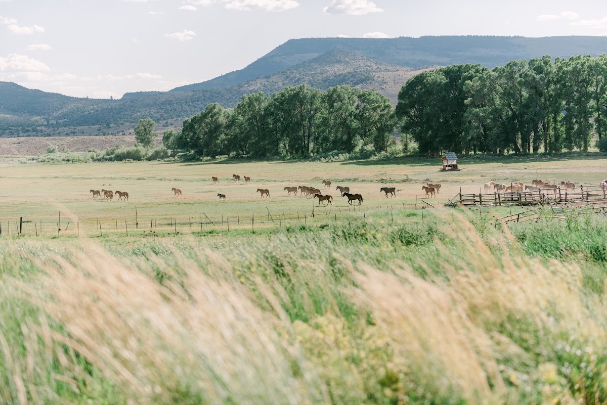 4 Eagle Ranch