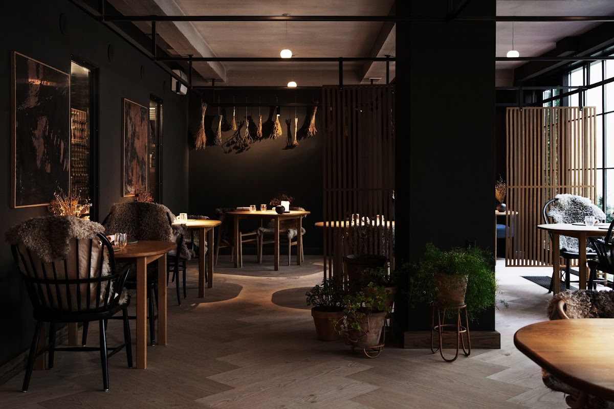 The Best Restaurants In Copenhagen