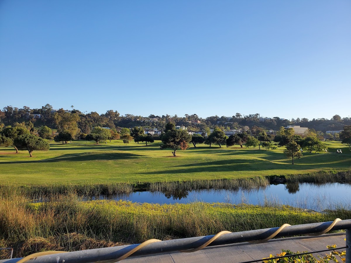 The Loma Club