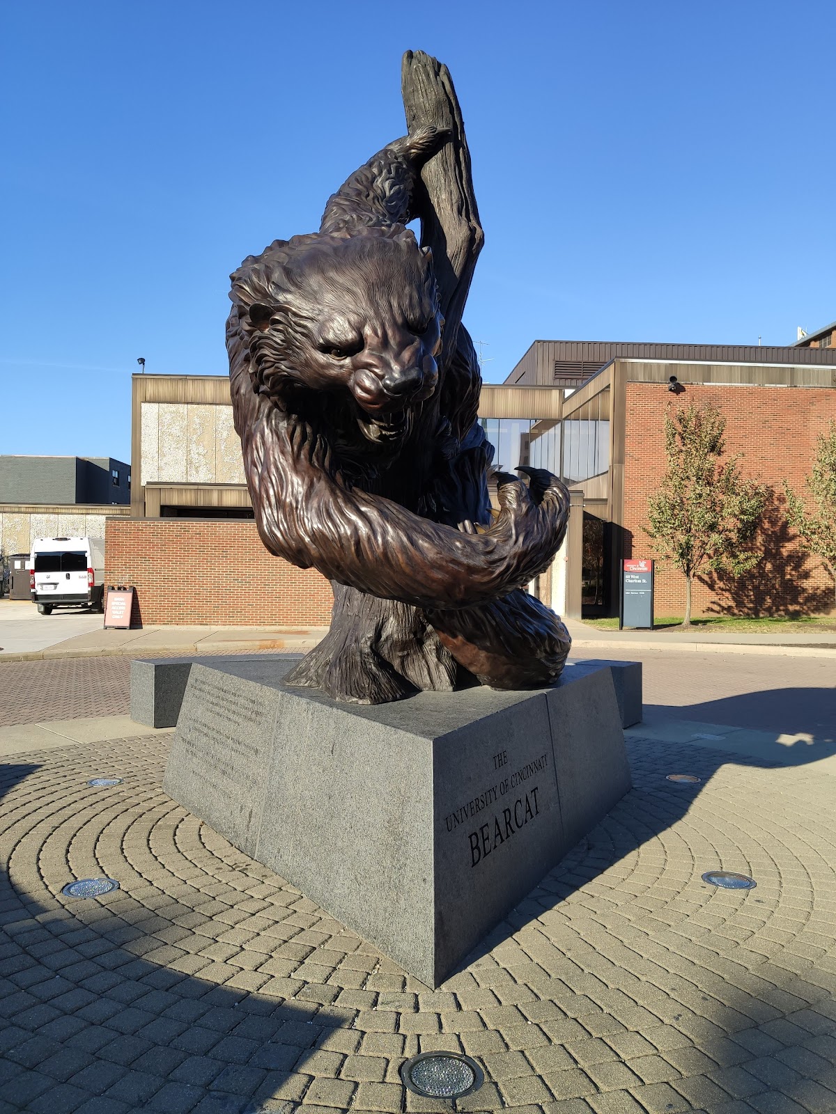 University Of Cincinnati Bearcat Statue