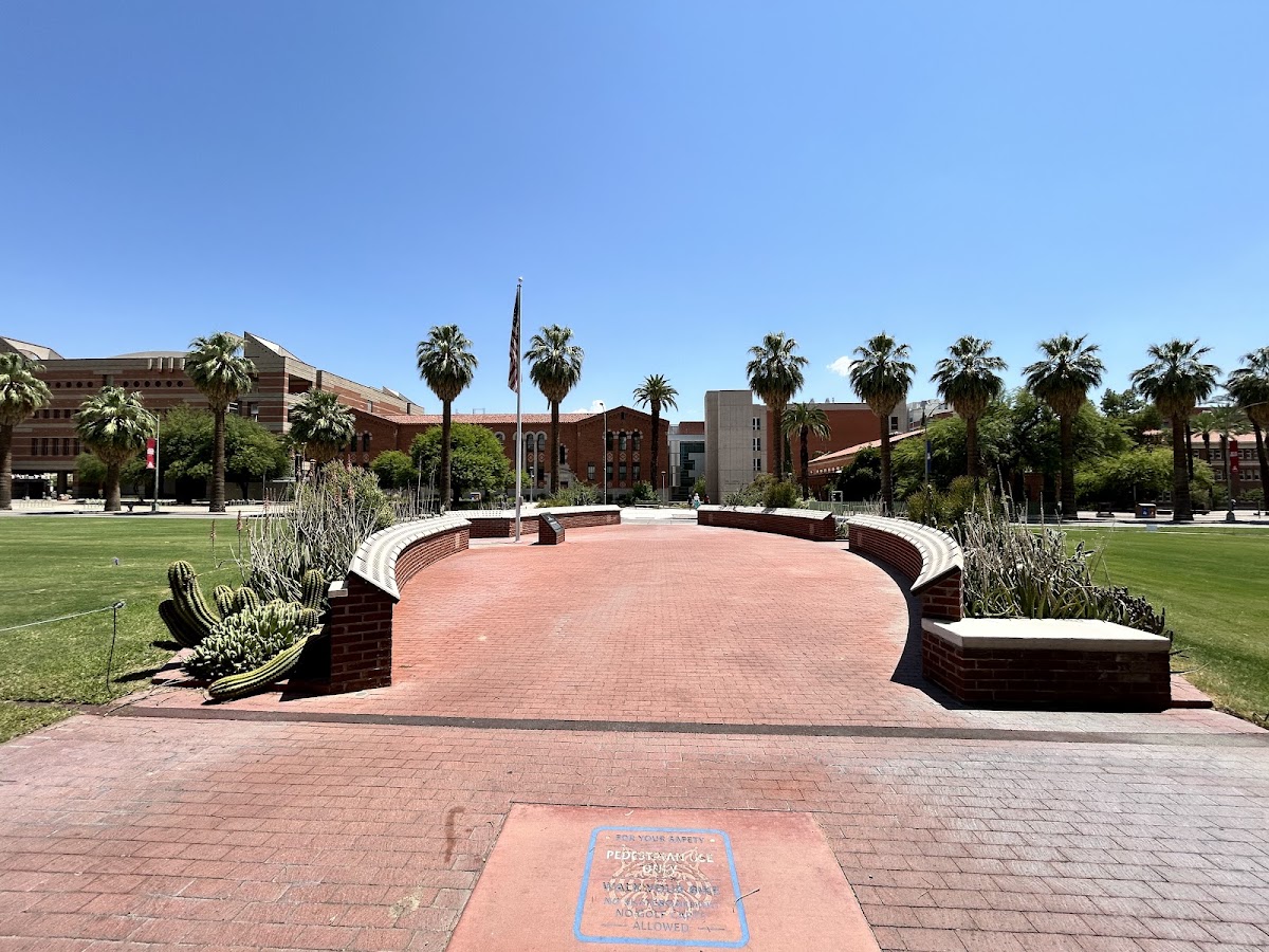 University of Arizona Guide: Where to Eat, Drink & Stay in Tucson (2026)
