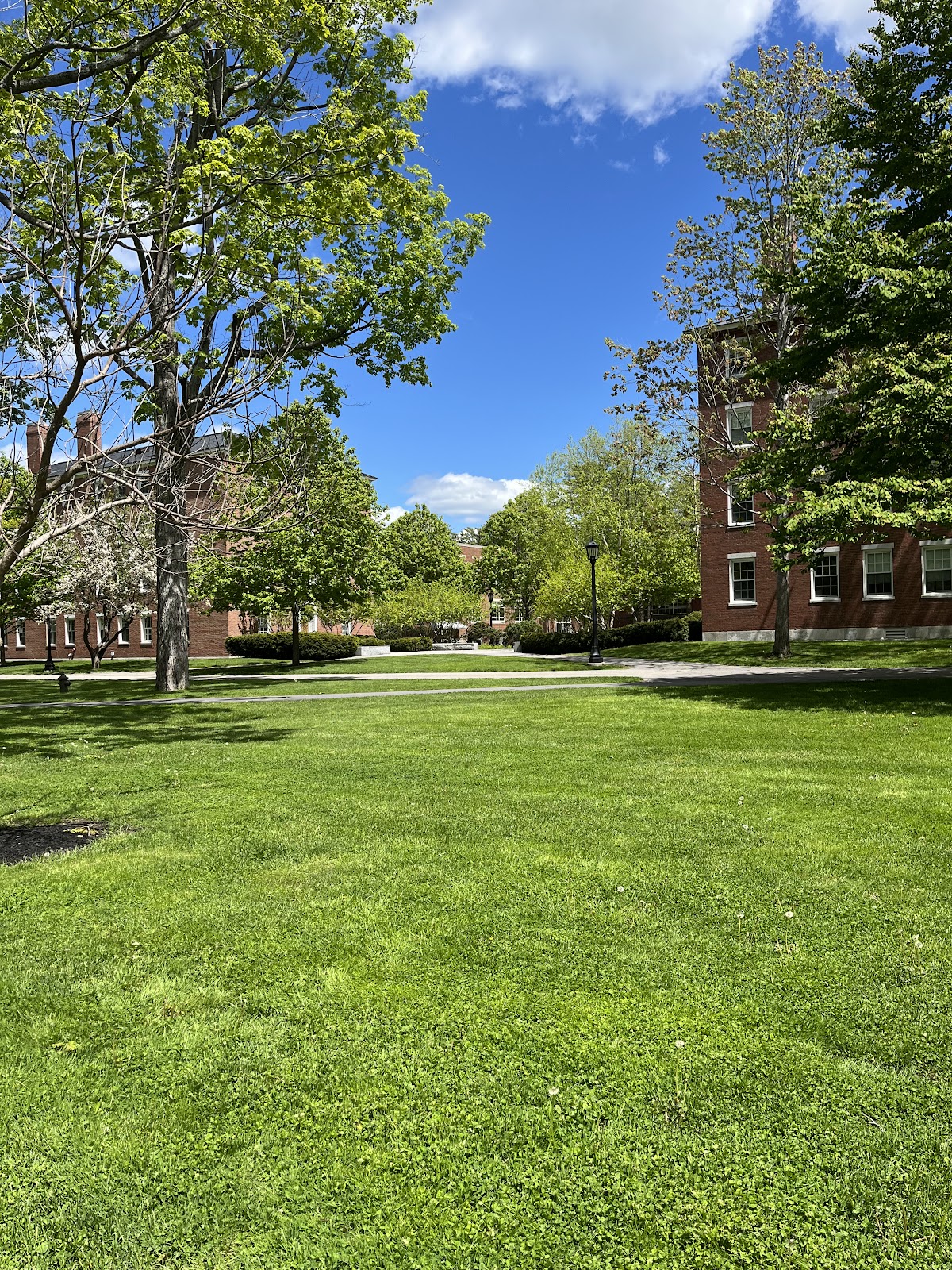 Maine Hall