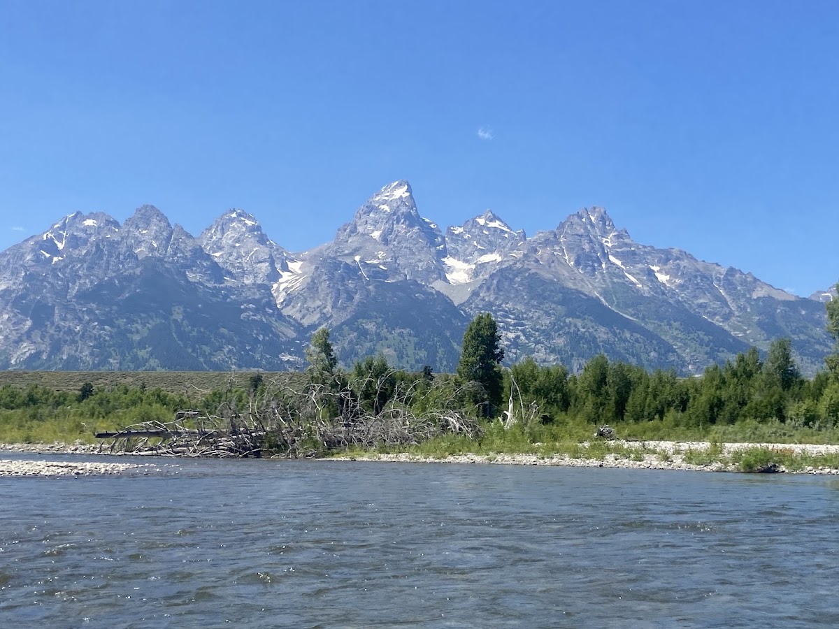 Snake River Angler