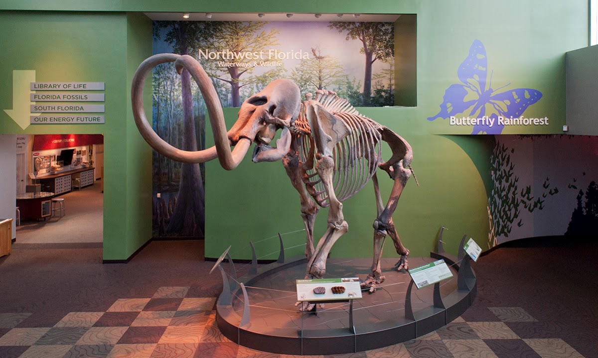 Florida Museum of Natural History