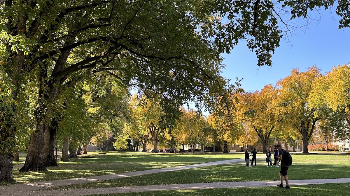 The Oval