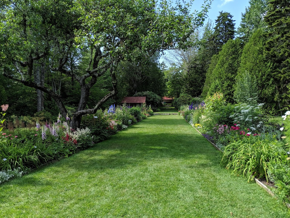 Thuya Garden