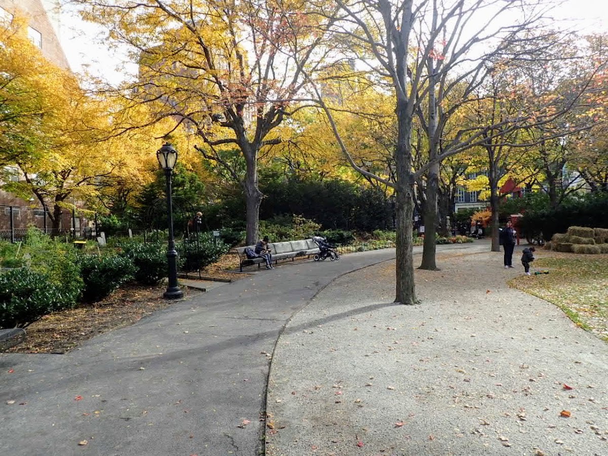 SoHo Trees (Tribeca)