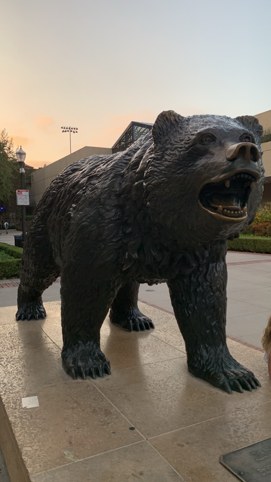 Bruin Statue