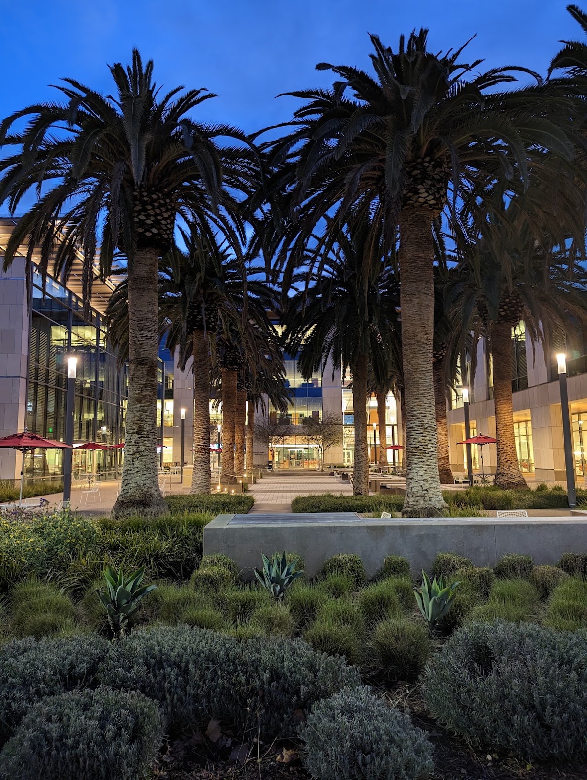 Sobrato Campus for Discovery and Innovation