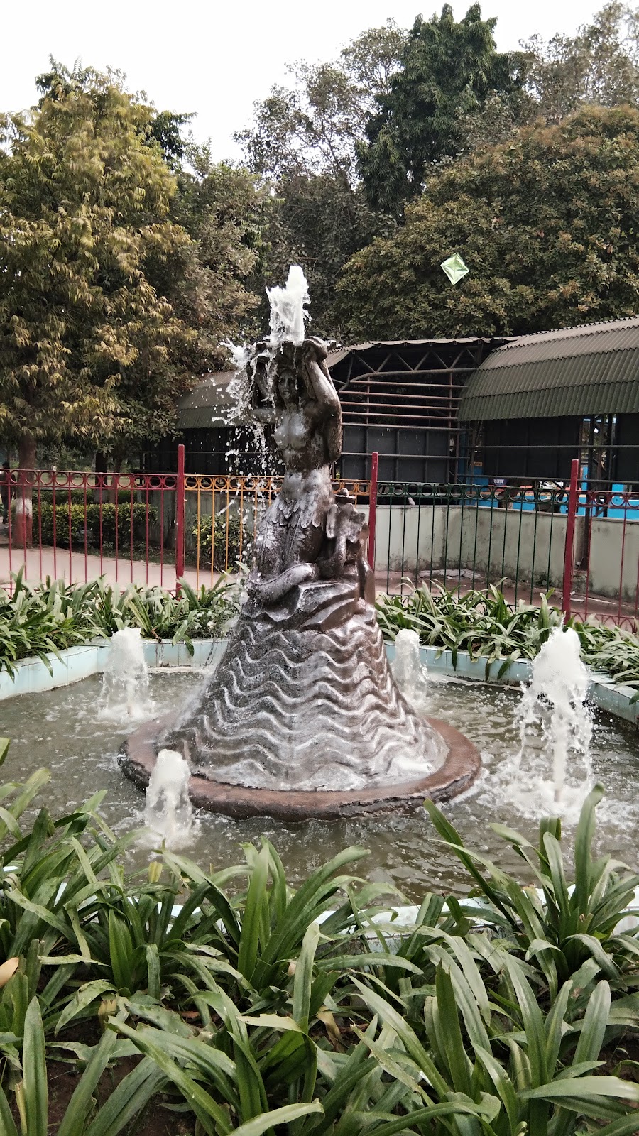 HARRY'S JAMAICA TRIP