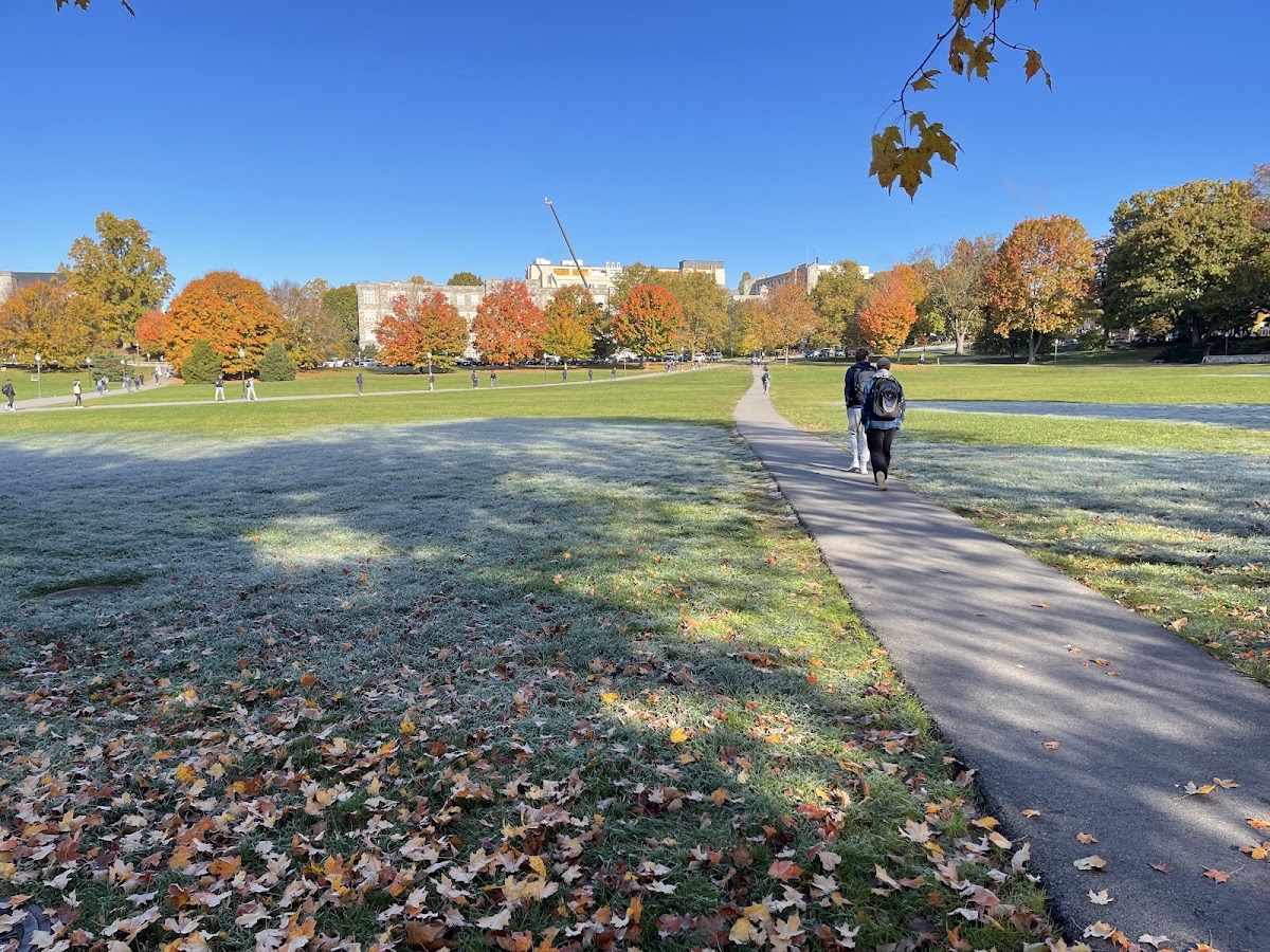 Drillfield